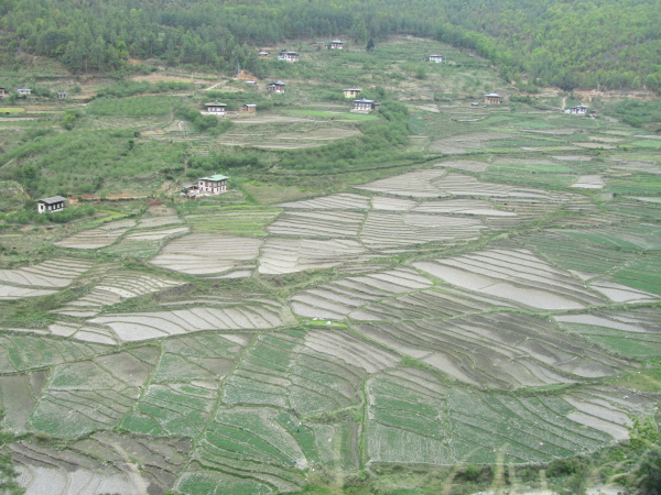 Yet another stunning view