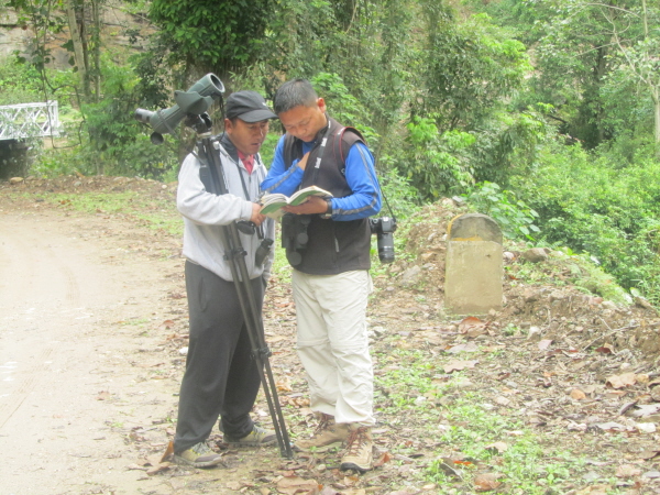 Checking that bird in the book