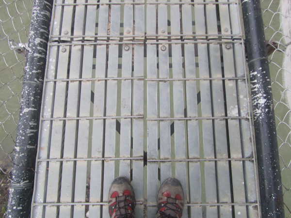 The suspension bridge near Punakha