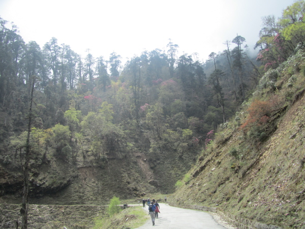 Typical view of main road through Bhutan