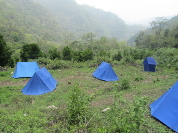 The camp site in the cannabis field