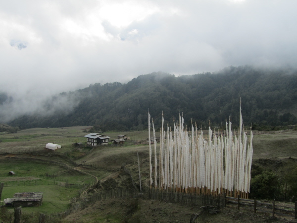 Newly erected prayer flags marking a recent death