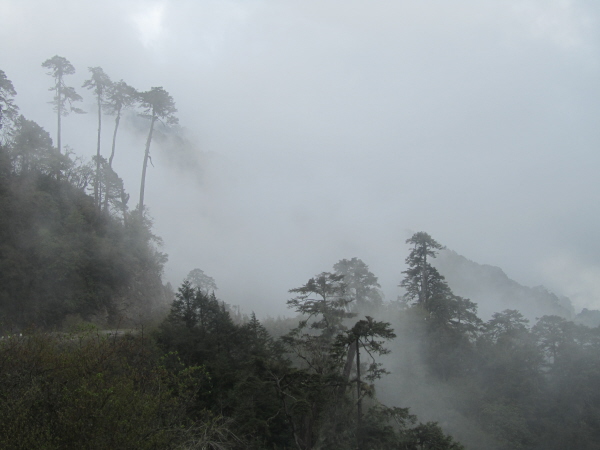 Yet another stunning view