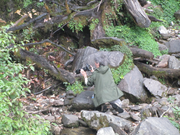 Camouflaged photographer