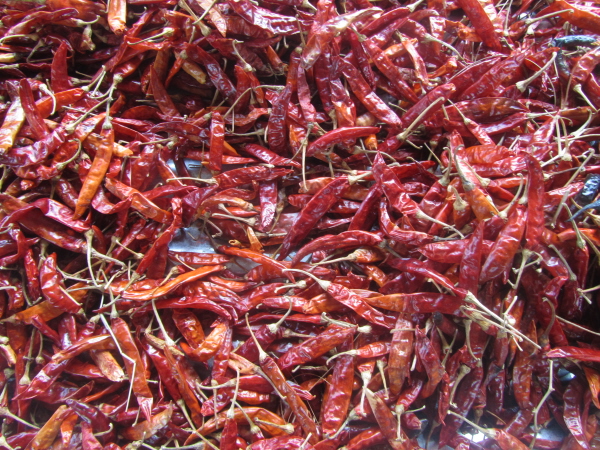 Chillies drying (last photo in this section)
