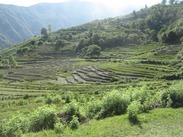 Yet another stunning view