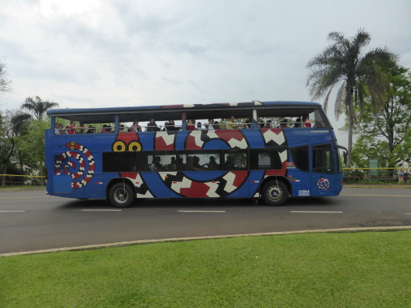 Cobra coral (coral snake)