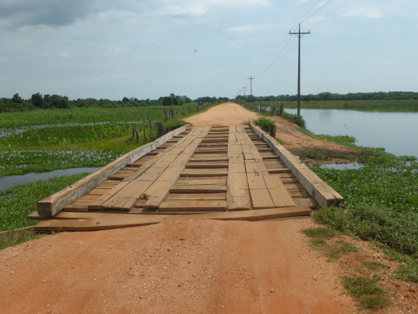One of the 122 bridges on the Transpantaneira