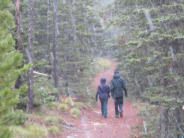 Walk from Red Rock Canyon 