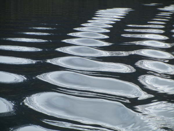 Boat trip on Waterton Lake