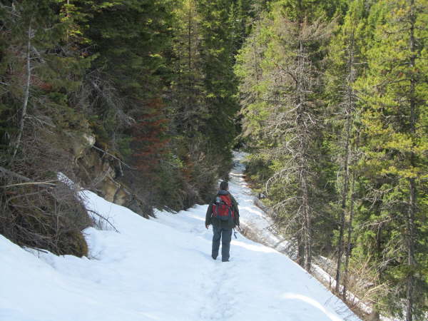 Walk to Crandell Lake