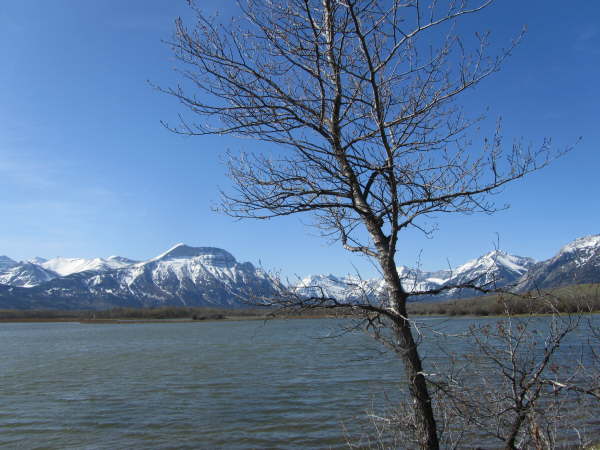 Maskinonge Lake, Waterton Lake National Park