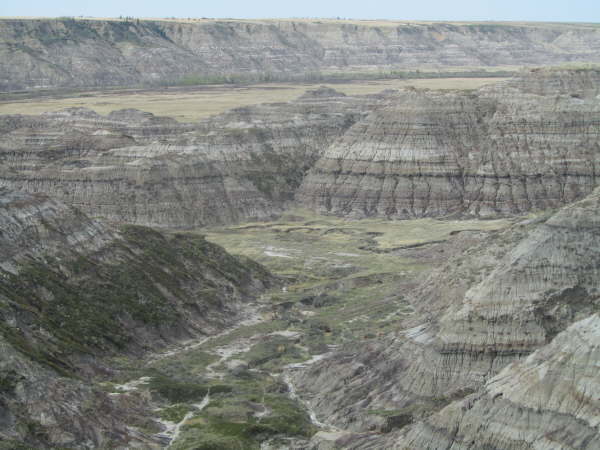 Horsethief Canyon look-out, near Drumheller