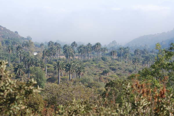 La Campana National Park