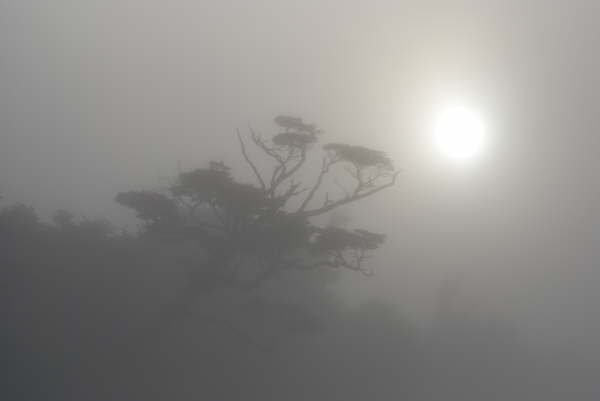 Chiloe Island River Trip