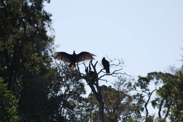 Chiloe Island River Trip
