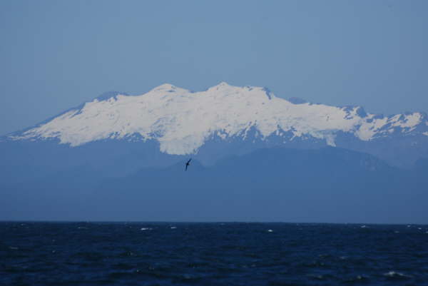 Andes from Chiloe Island