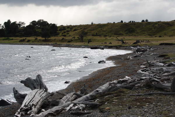 Beach at El Las Coles