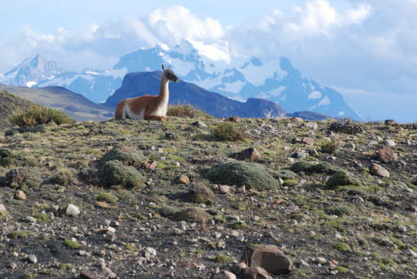 Torres del Paine National Park