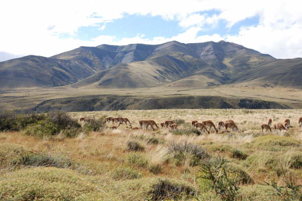 Torres del Paine national Park