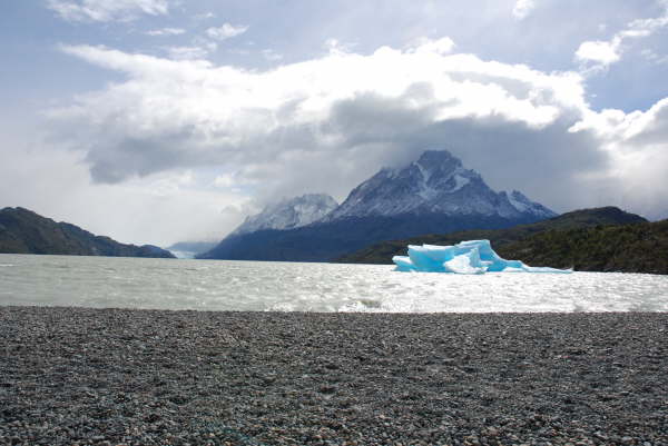 Grey Glacier Torres del Paine National Park