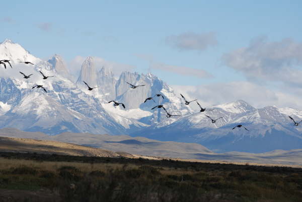 Torres del Paine National Park