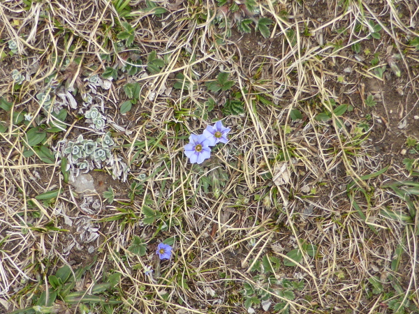 Not sure about this one !