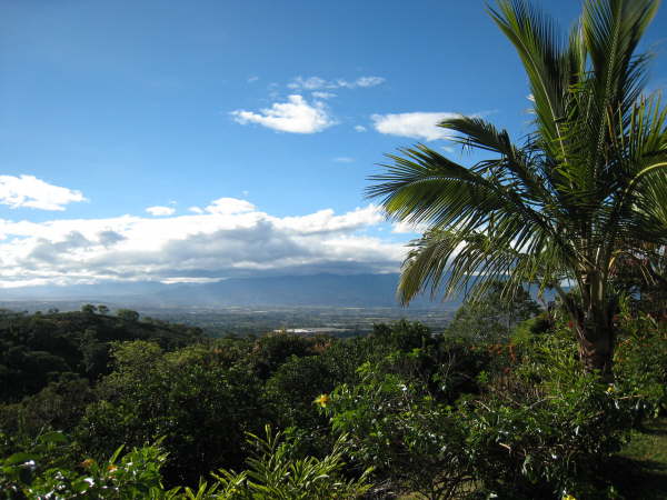 View from Buena Vista Hotel Alajuela