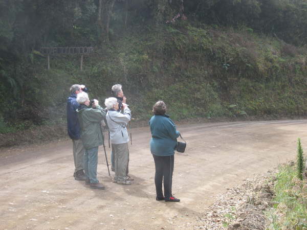 En route to San Gerardo de Dota