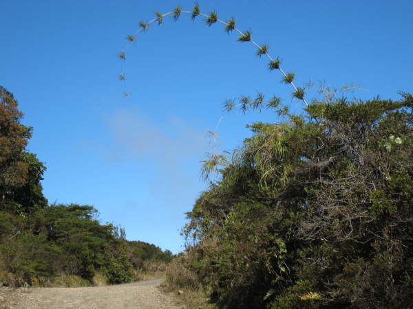 Aabove St Gerardo de Dota