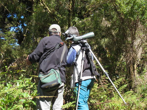 Above St Gerardo de Dota