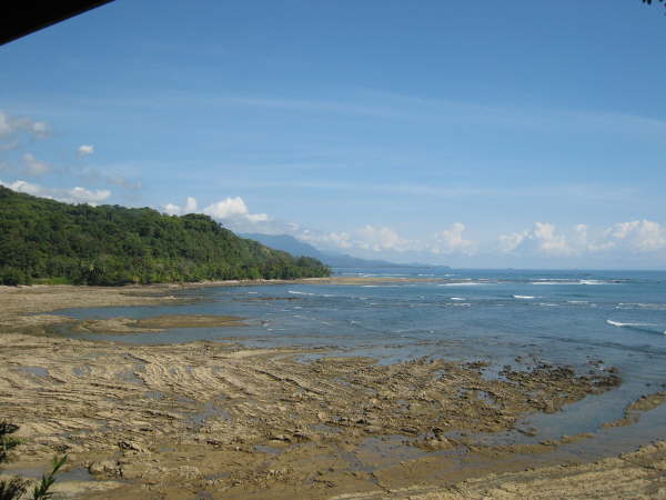 Lunch spot near Dominicale