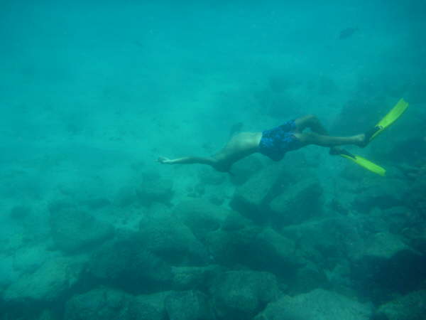 Darwin (our guide) in his element