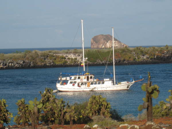 Cachelote off South Plaza