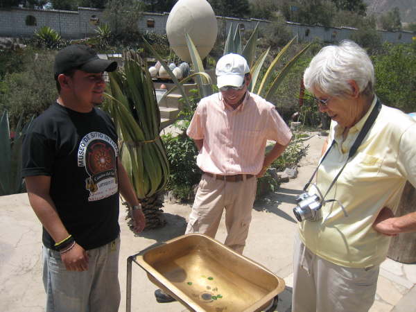 The equator: which way will the water swirl?