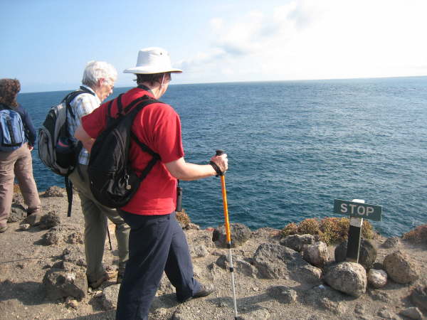 South Plaza and the bleedin' obvious