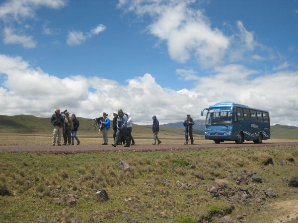 On the Antisana plateau