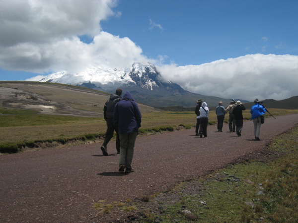 On the Antisana plateau