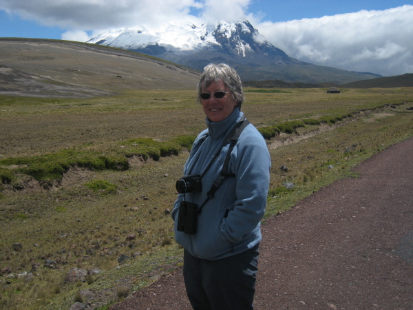 On the Antisana plateau