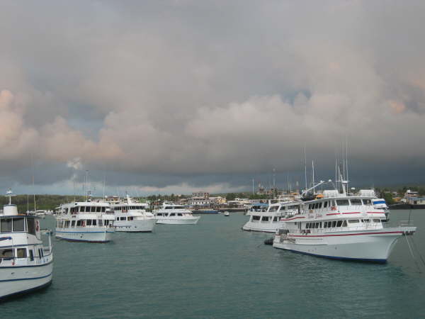 Santa Cruz - Puerto Ayora harbour