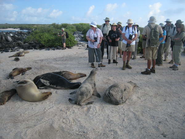Espaola - Gardner Bay