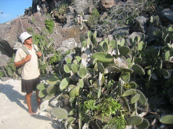 Genovesa - Darwin watching cactuses evolve