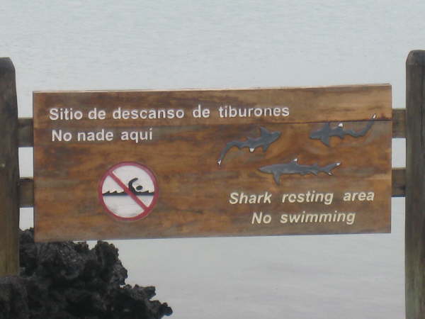 Isabel - Tinteroras reserve