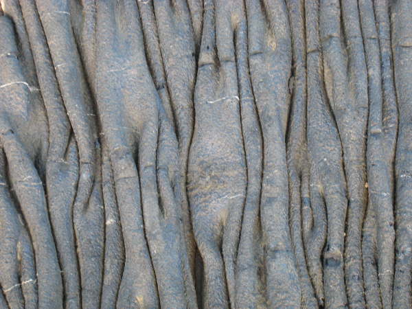 Santiago - Sullivan Bay - lava