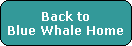 Back to
Blue Whale Home