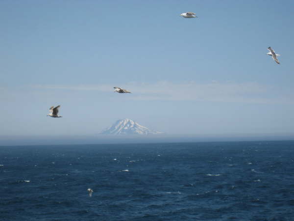 Kuril Islands - Ostrov Ekarma