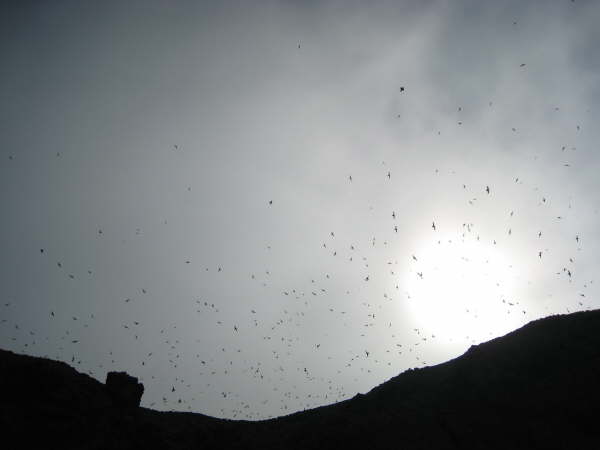 Kuril Islands - Ostrov Ekarma