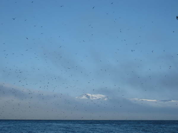 Kuril Islands - Ostrov Ekarma