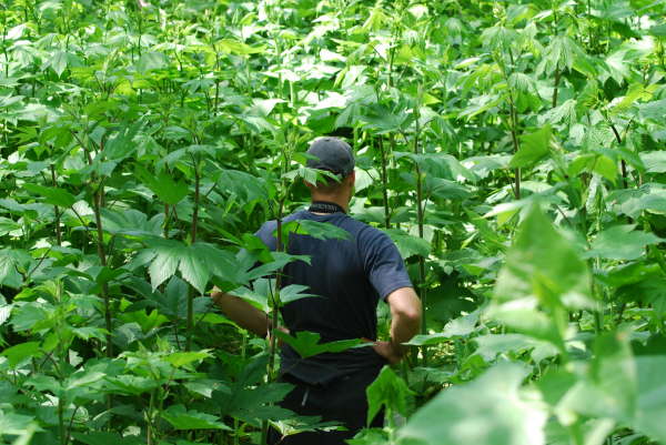 Paul in the Gagarin Park in Sakhalin