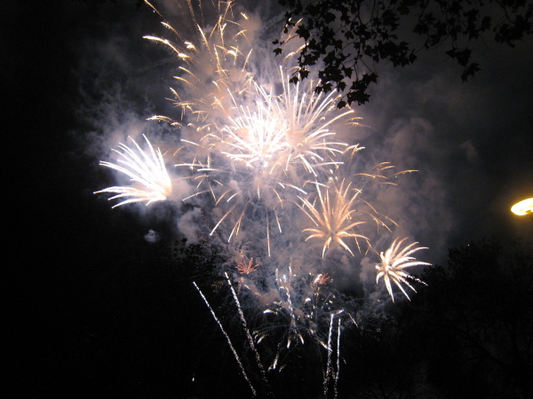 IMG_1249 (last photograph)